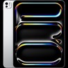 Apple 13-inch iPad Pro (M4) WiFi 256GB with Standard glass - Silver