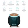 TrueLife AIR Diffuser D4