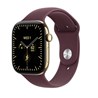 Apple Watch S12 Cellular 42mm Radiant Gold Titanium Case with Burgundy Sport Band - M/L